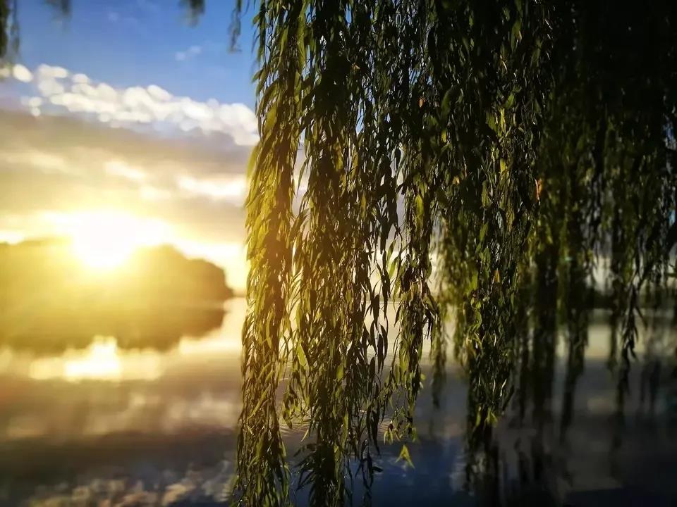 晨阳,夕阳
