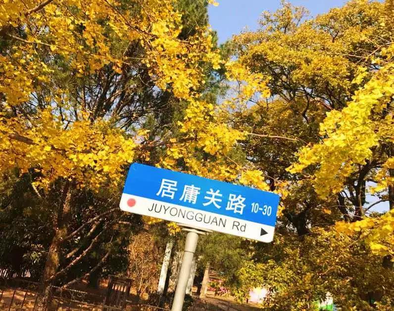 树