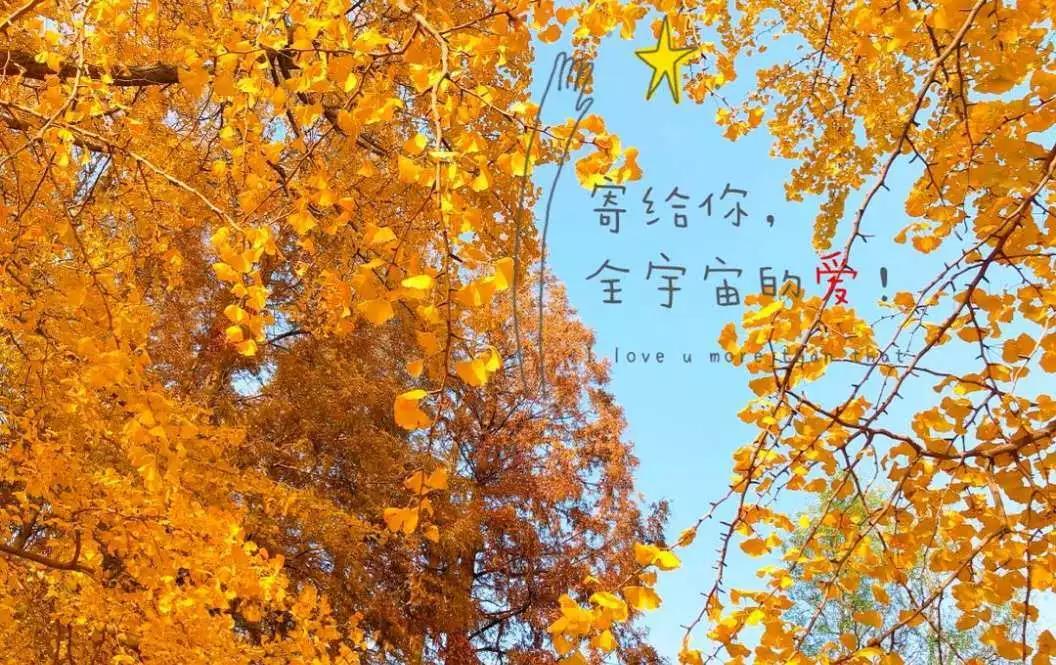 视觉盛宴