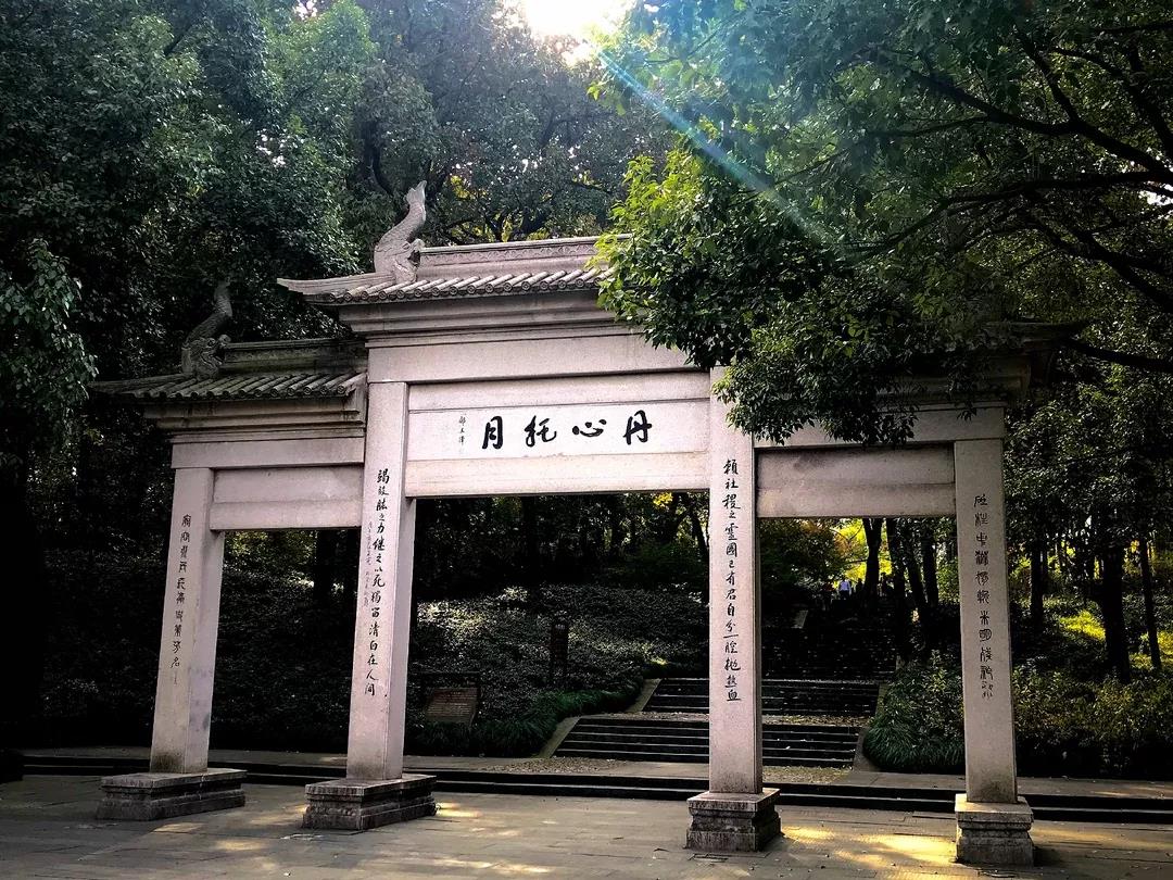 丹心托月